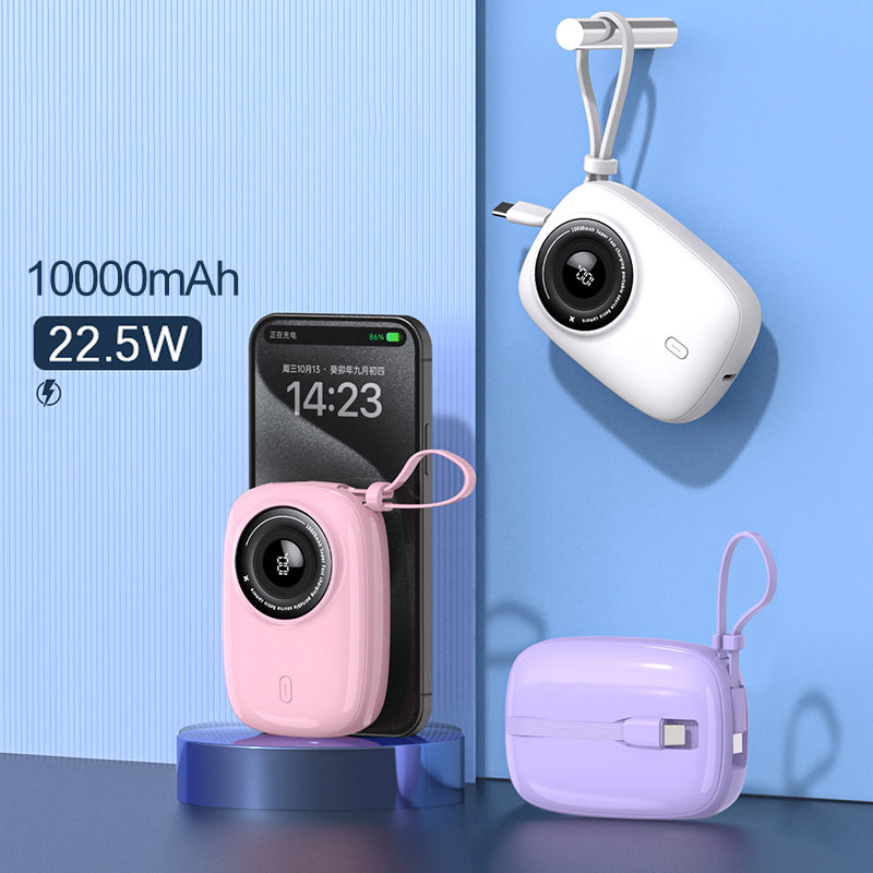 Power Bank 10000 mAh con 2 Cables